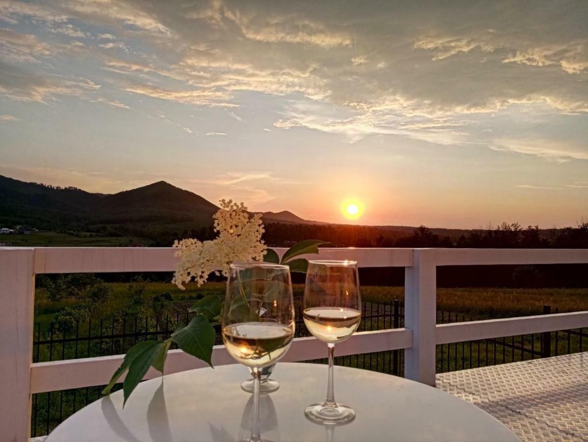 Cosy House Villa Berehomet Bagian luar foto