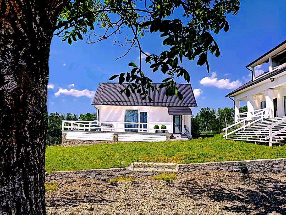 Cosy House Villa Berehomet Bagian luar foto